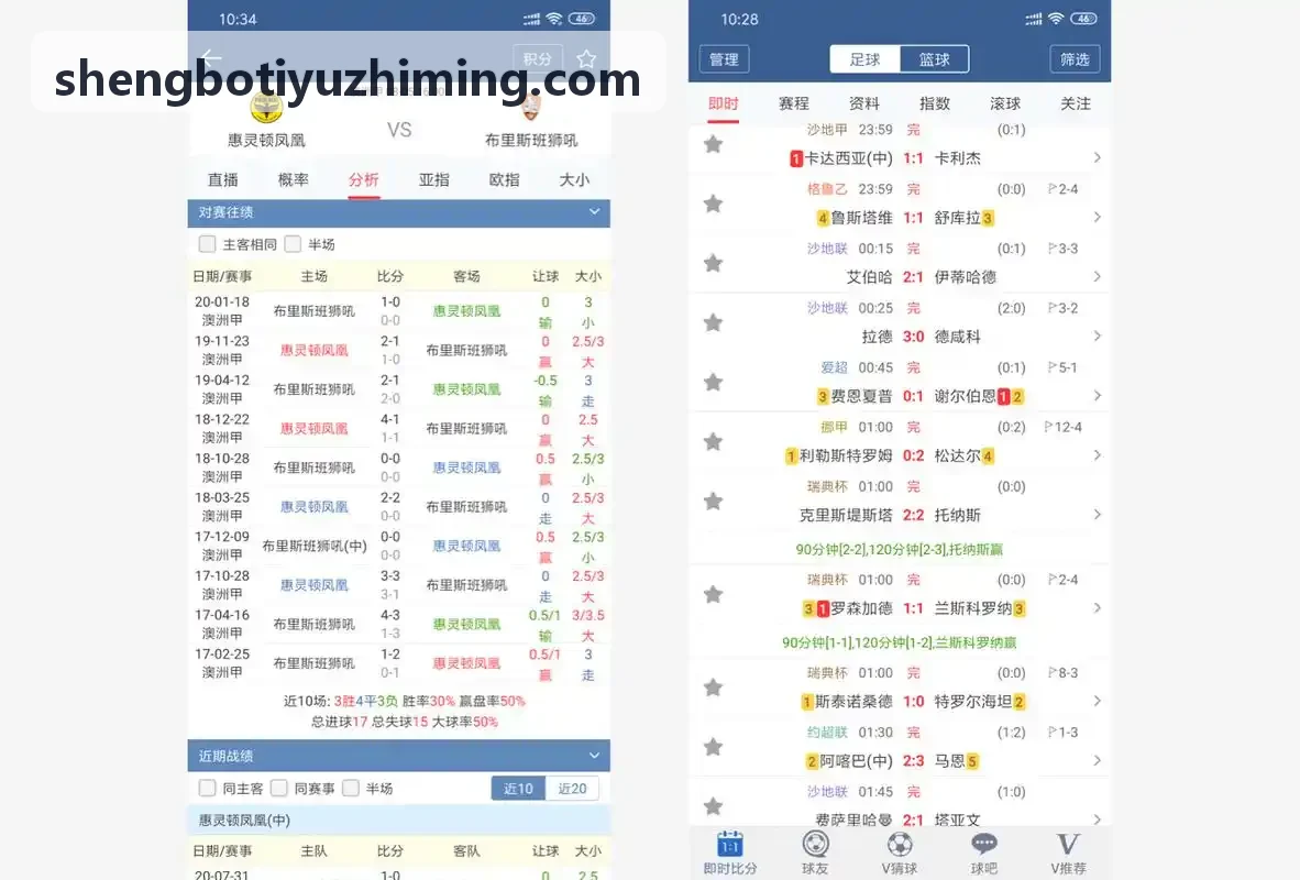 SHENGBOTIYU动作力学计算模型